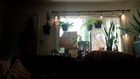 Snapshot of lacybell chatting on September 21, 10:11 pm lacybell online show from September 21, 10:11 pm