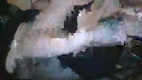Snapshot of lady24x chatting on April 29, 2:48 am lady24x online show from April 29, 2:48 am