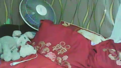 Snapshot of ladyxsnakes chatting on January 11, 3:31 pm LadyXSnakes online show from January 11, 3:31 pm