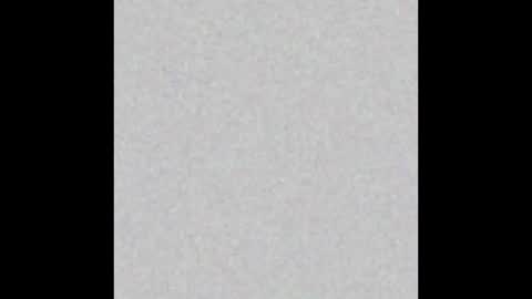  paola and a guest lol    online show from October 15, 9:20 am