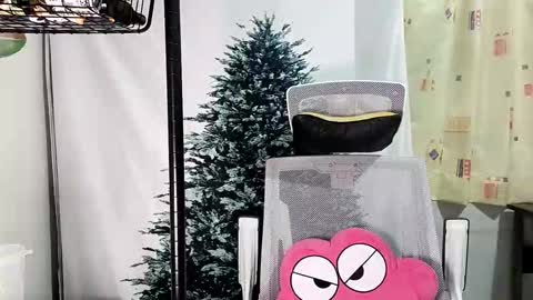 Snapshot of lailai6699 chatting on September 12, 5:02 pm lailai6699 online show from September 12, 5:02 pm