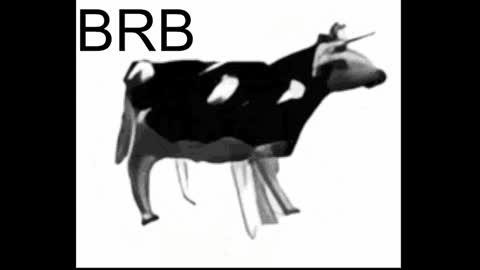 just call me Lana  and her security online show from January 17, 5:19 pm