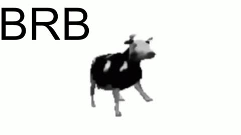 just call me Lana  and her security online show from January 23, 2:28 pm