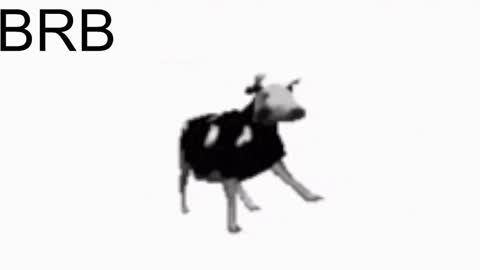 just call me Lana  and her security online show from January 25, 11:13 am