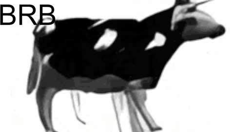 just call me Lana  and her security online show from February 6, 8:07 am