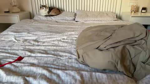 Lana online show from February 5, 2:16 pm