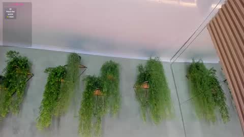 lana_lann online show from November 10, 12:04 pm