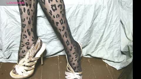 lana_legs53 online show from November 17, 2:56 pm