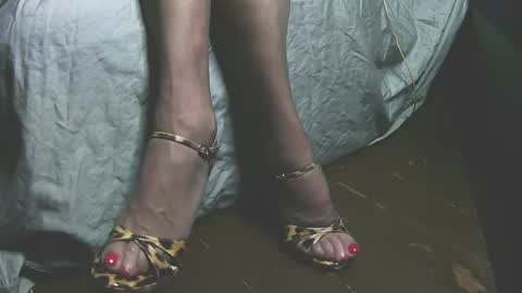 lana_legs53 online show from May 31, 5:59 am