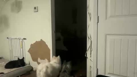 lanasharapovaxxx online show from February 18, 12:28 am