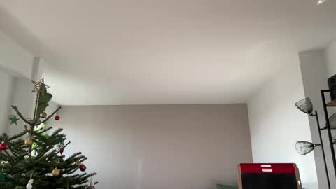 Lanimal online show from December 18, 11:27 am