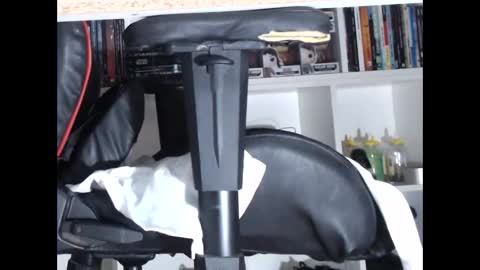 Snapshot of lapijaarg chatting on December 3, 3:30 am LapijARG online show from December 3, 3:30 am