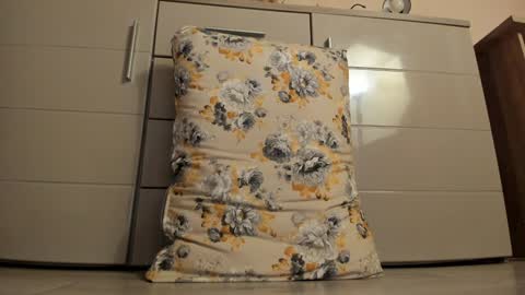 Snapshot of laracara chatting on December 18, 5:04 am Lara online show from December 18, 5:04 am