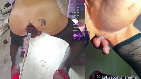 Sophia online show from March 11, 6:00 am