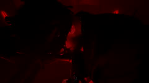 latex__buddy online show from March 3, 10:43 am