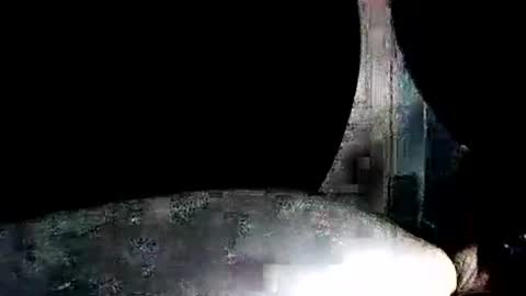 latexchris77 online show from January 7, 7:55 am