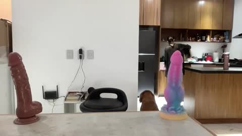 latina_sasha online show from April 16, 2:01 am