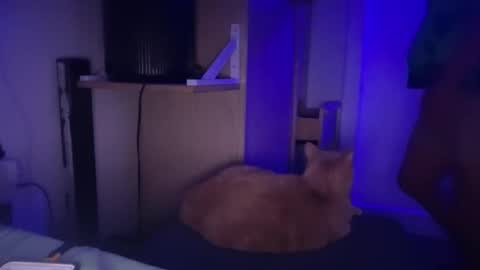 LATiNBOiiXXX online show from April 6, 2:09 am