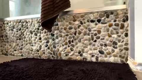 latinlover199518 online show from April 16, 1:23 pm