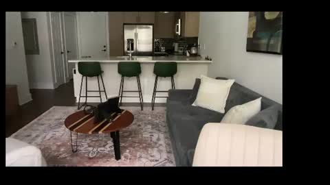 QS - INDEPENDENT MODEL online show from August 5, 5:38 pm