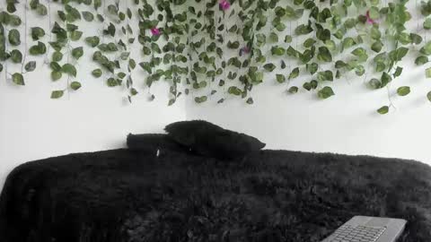 laurensmith9 online show from March 27, 2:17 pm