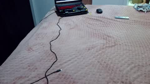 kelly online show from February 7, 3:34 am