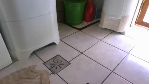 kelly online show from March 7, 6:22 pm