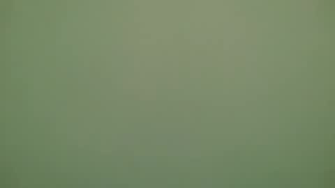 Michel online show from November 28, 6:32 pm