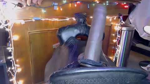 Lee Cox online show from November 8, 3:23 pm