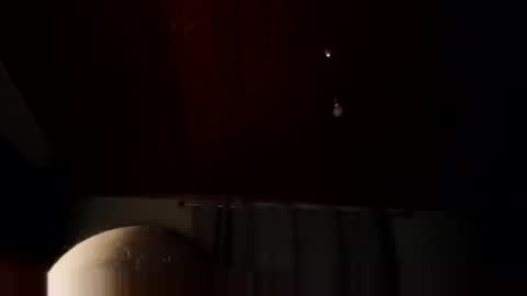 lelshop online show from February 25, 8:51 pm