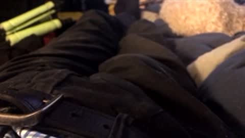 Leon online show from April 10, 10:47 pm