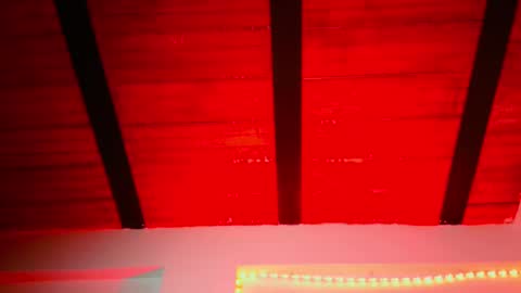 Lenardo jaramillo online show from December 12, 10:24 am