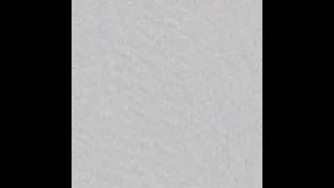 Snapshot of leontorax chatting on December 20, 12:07 am T0rax online show from December 20, 12:07 am