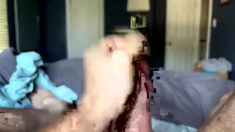 Snapshot of letmecumforyou71 chatting on September 20, 12:50 pm letmecumforyou71 online show from September 20, 12:50 pm