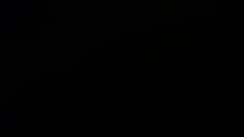 letsplay361 online show from November 7, 2:44 am