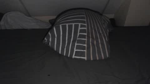 lewenzi online show from February 3, 2:53 am