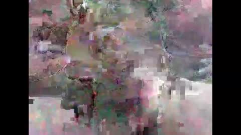 Snapshot of leweylewy chatting on November 13, 11:58 pm leweylewy online show from November 13, 11:58 pm