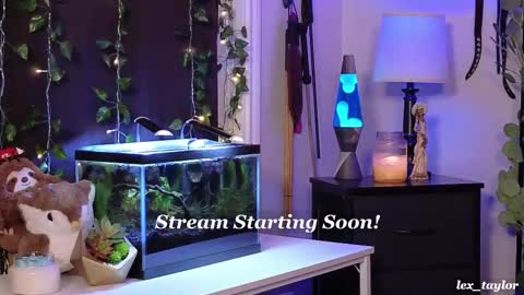 Snapshot of lex_taylor chatting on February 18, 4:37 pm Lex online show from February 18, 4:37 pm