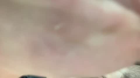 lexiejohnson233 online show from December 2, 8:59 pm