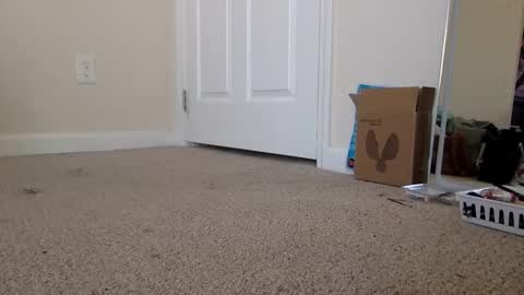 Alexia L. online show from November 19, 4:40 pm