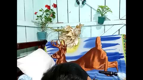 Lia online show from September 13, 9:25 pm