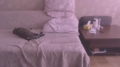 miss Lia  colection for travel online show from August 6, 12:29 pm