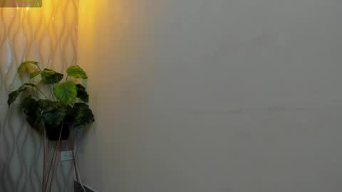 LIAM KLEIN online show from February 12, 11:05 am