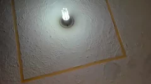 lianfox_ online show from July 11, 12:30 pm