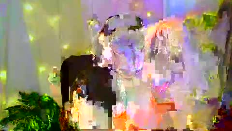 Liberta online show from November 30, 3:21 am