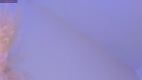 Snapshot of liiamluna chatting on November 19, 9:09 am Liiam Luna online show from November 19, 9:09 am