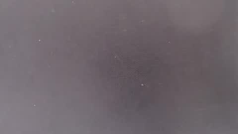 liiz5 online show from March 9, 7:29 pm