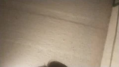 like2816 online show from February 3, 9:30 am