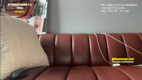 likeasnack online show from April 15, 2:24 pm