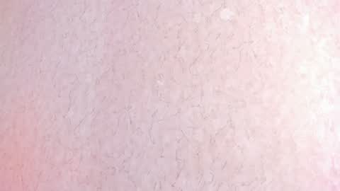 L I L A   online show from February 4, 6:38 pm